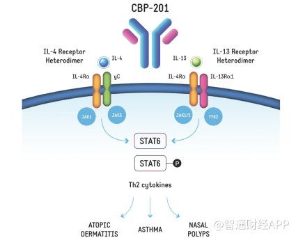 核心產(chǎn)品未上市即面臨競爭擴圍，康乃德生物拿什么說服華爾街