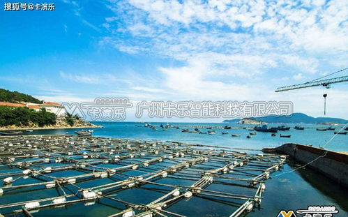 水產(chǎn)養(yǎng)殖智能監(jiān)控系統(tǒng)與生物制品技術(shù)開發(fā)的融合創(chuàng)新